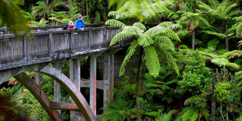 Whanganui National Park, Whanganui 