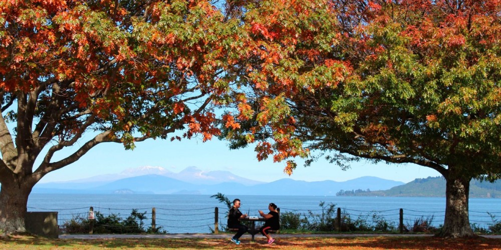 Autumn picnic, Taupo