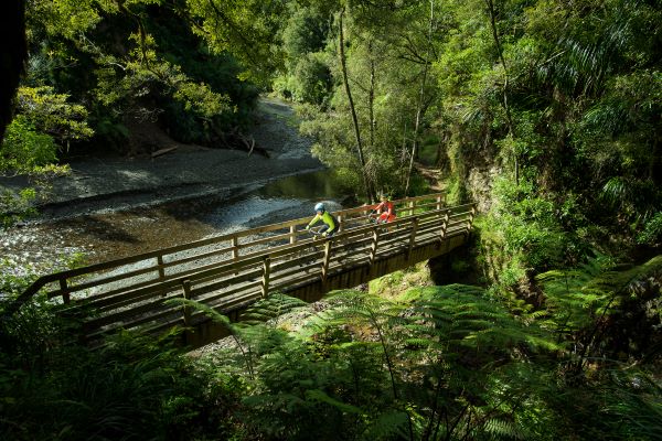 Motu Paki Trails, Gisborne