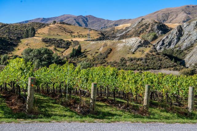 Winery Gibbston Valley Otago